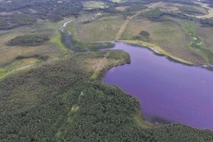Carmanville Pond From Above 11