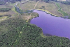 Carmanville Pond From Above 13