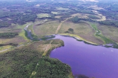 Carmanville Pond From Above 20
