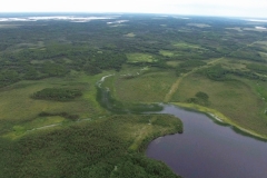 Carmanville Pond From Above 30