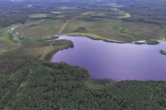 Carmanville Pond From Above 41