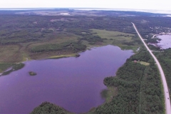 Carmanville Pond From Above 60