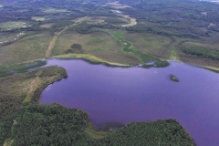 Carmanville Pond From Above 61