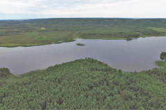 carmanville-pond-from-above-22