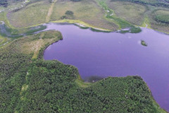 carmanville-pond-from-above-52