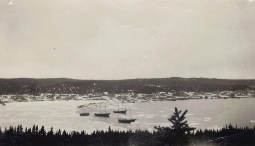 Schooners In Carmanville Habour